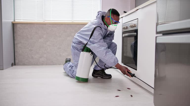 Reliable Oakdale, CA Pest Control Solutions